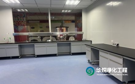 在檢驗科裝修過程中，有哪些常見的挑戰(zhàn)和解決方法？