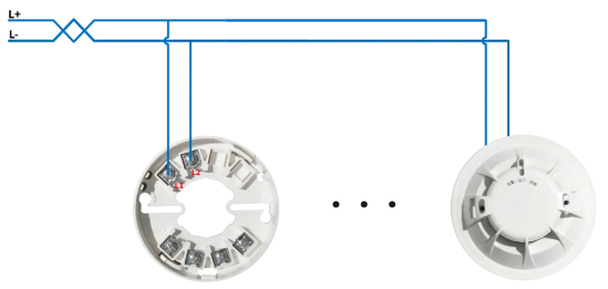 1737186265176985.png image.png